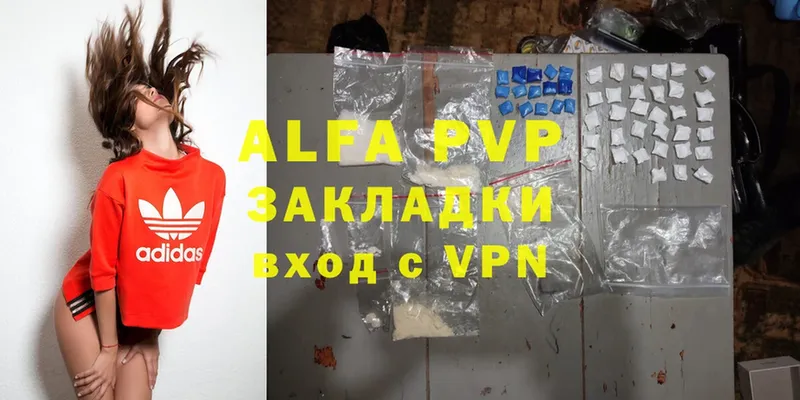 A PVP VHQ Курчалой